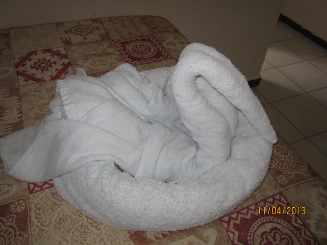 Imagen de Hotel Savaro