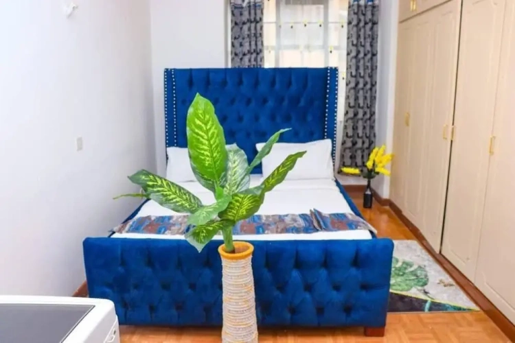 Classic Apartment