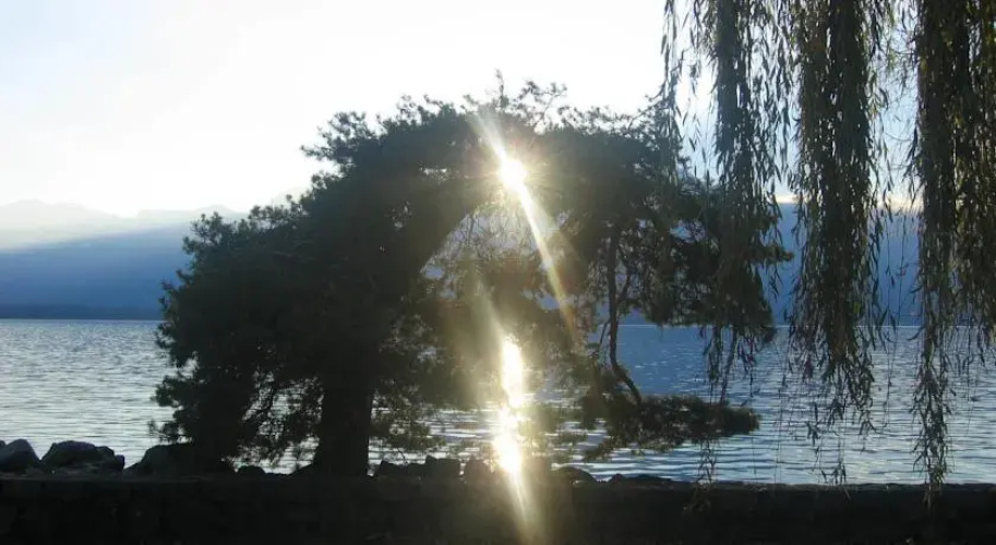 Alpes 80 Montreux