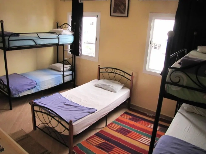Bed in Dorm