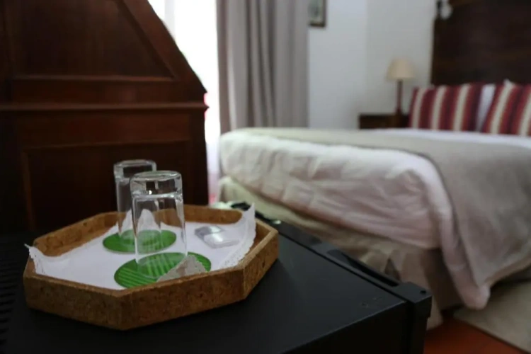 Standard Twin room with mountain view