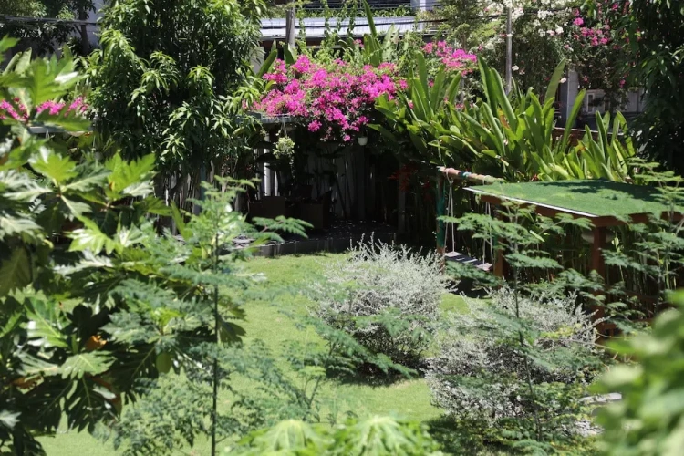 Deluxe Double room with garden view