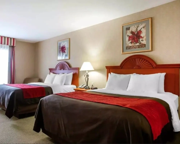 Double Suite