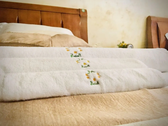 Al Mansi hotel