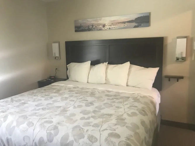 Standard Double Suite