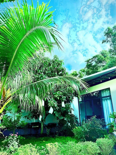 Homestay Halona