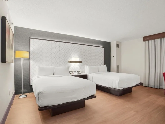 Executive Quadruple room