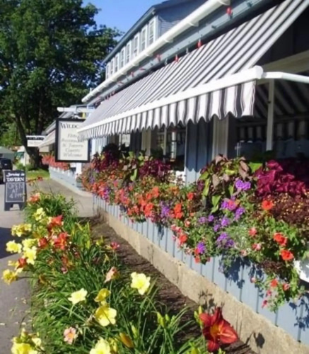 Wildcat Inn & Tavern