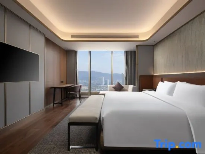 Executive Double Suite with city view