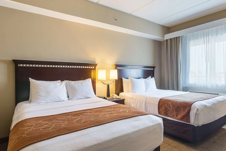 Quadruple Suite