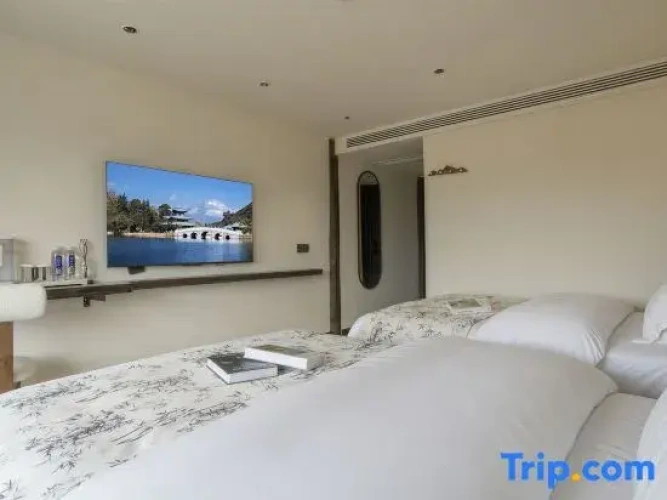 Standard Twin room with view