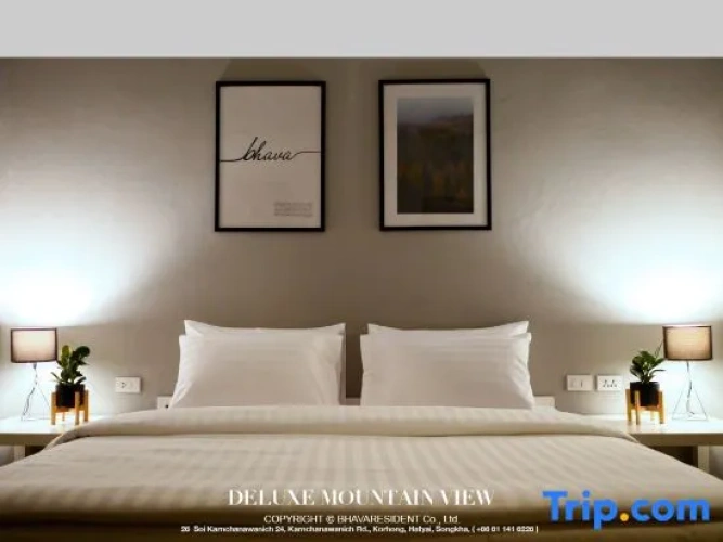 Deluxe Double room with mountain view