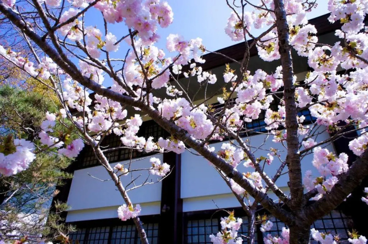 Koyasan Shukubo Yochiin