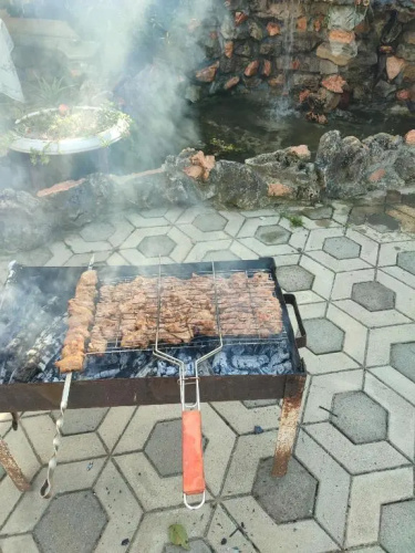 Guesthouse TEA