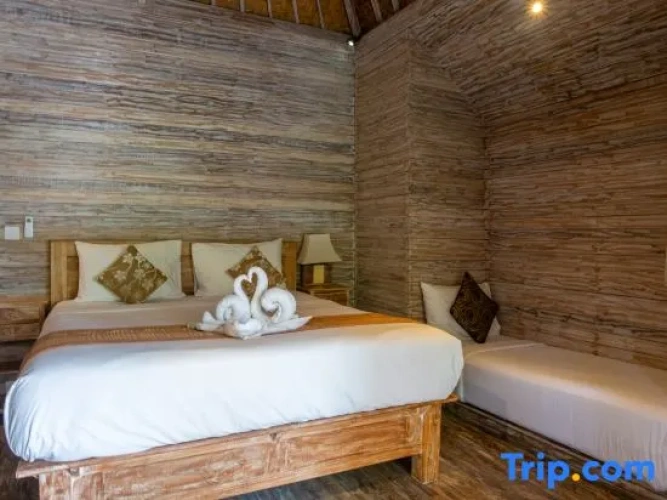Deluxe Twin room with mountain view