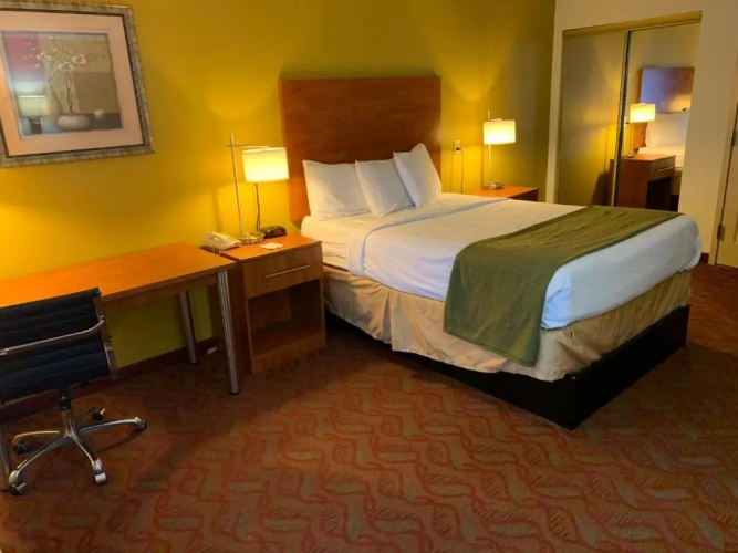 Standard Double room