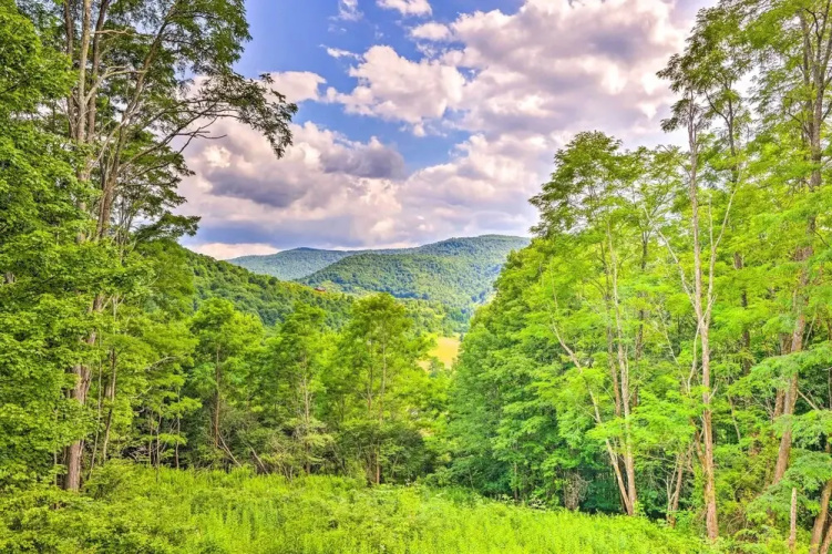 Slaty Fork Escape w/ Mountain View + Hot Tub!