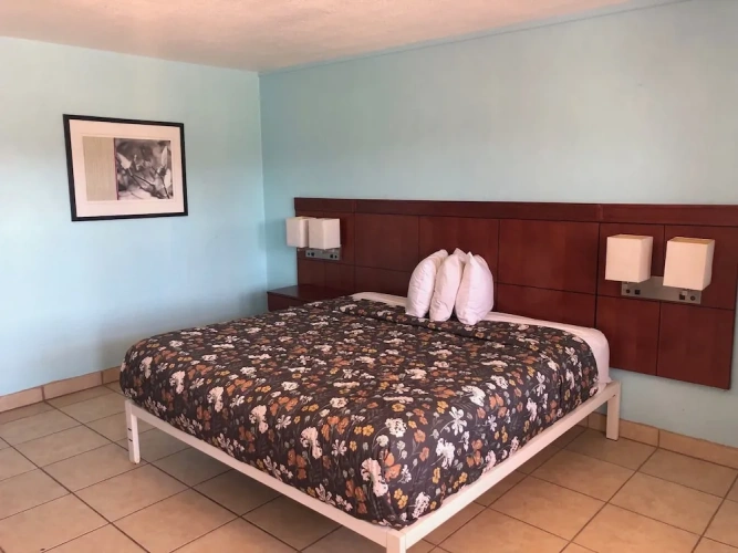 Double Basement Suite