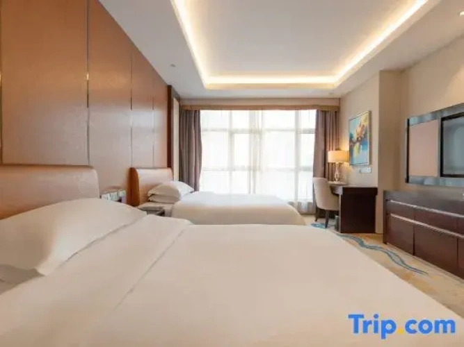 Twin Suite