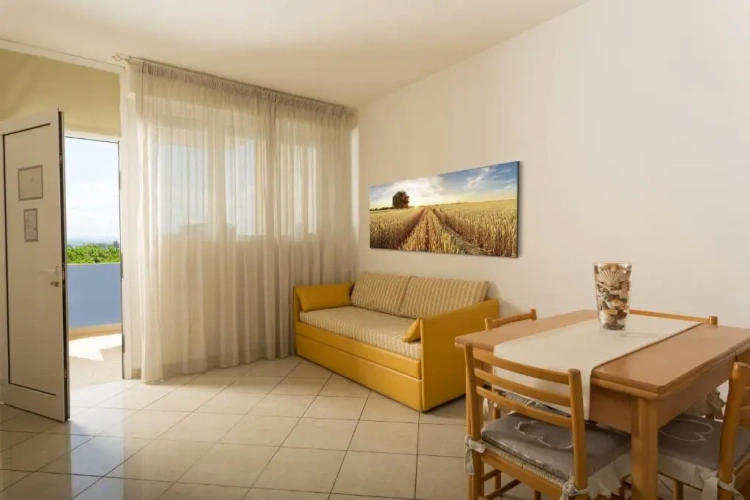 1 Bedroom Standard Apartment