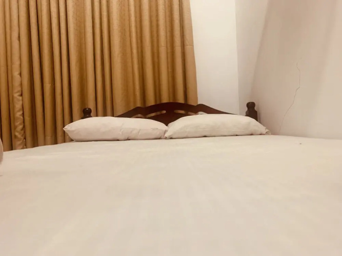 Jungle City Hostel