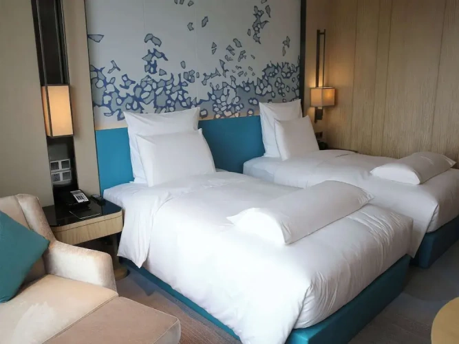 Executive Twin Club room
