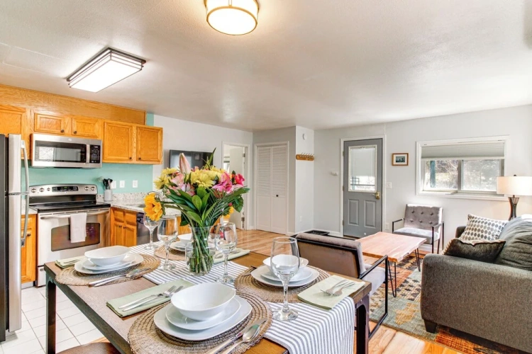 1 Bedroom Apartment