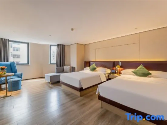 Standard Double room with city view