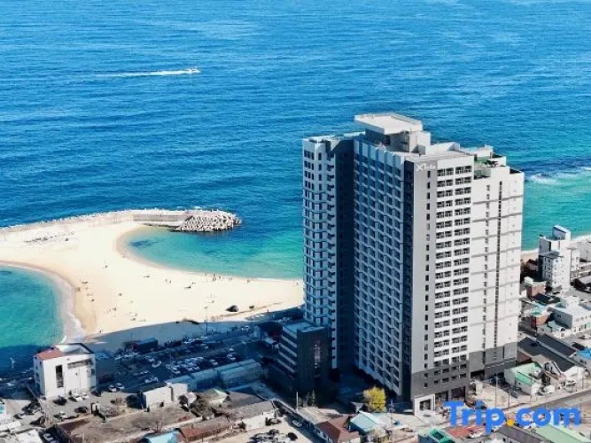 Plott The One Sokcho Xiella The Beach