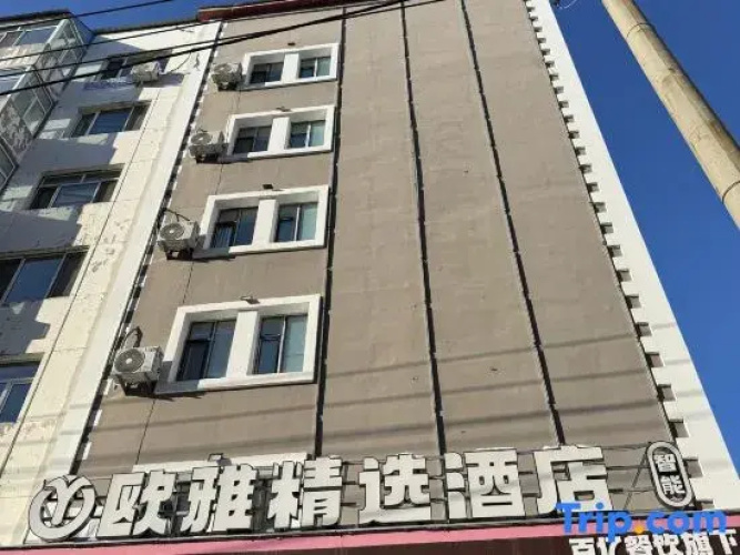 Heihe Ouya Collection Hotel (Smart)
