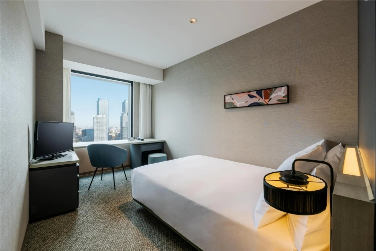 Standard Double room with city view