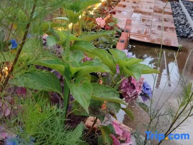 Scarecrow Garden Inn