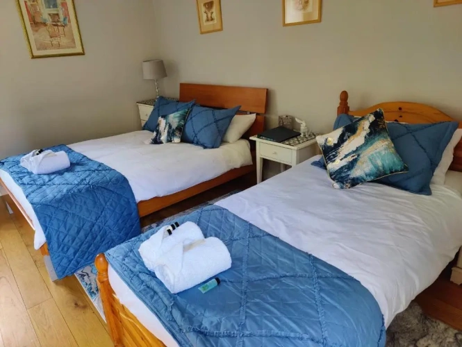 Deluxe Family room