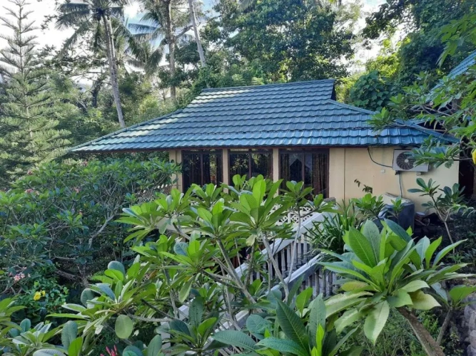 Standard Double room with mountain view