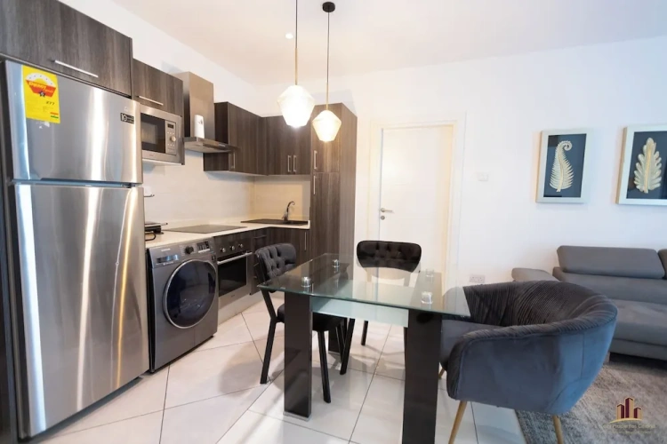 Luxury Apartment
