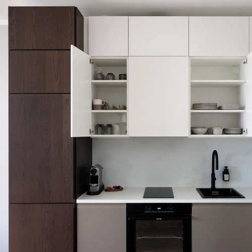 Luxury Apartment