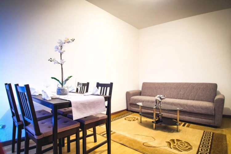 Petite France: Nice and Equiped Flat