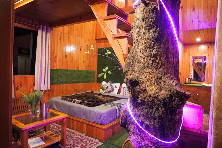 WOW Treehouse & Cottages
