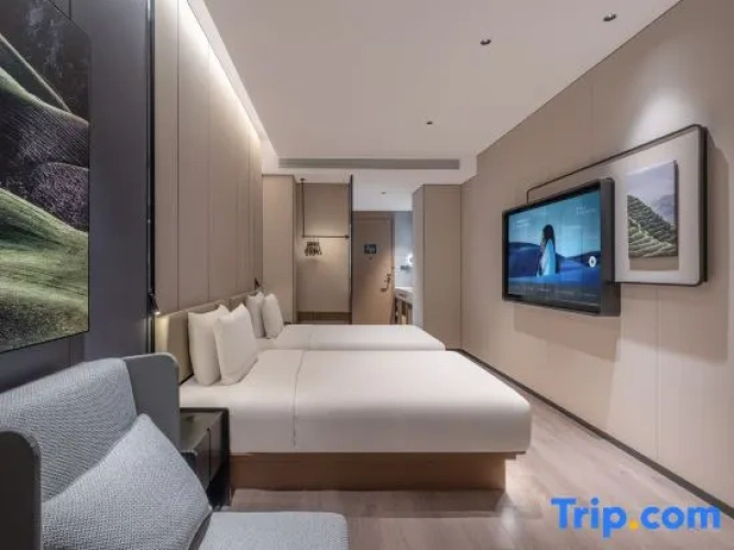 Executive Twin room