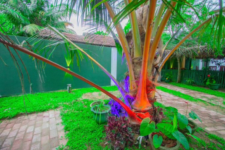 Sudu Yala Safari Hostel