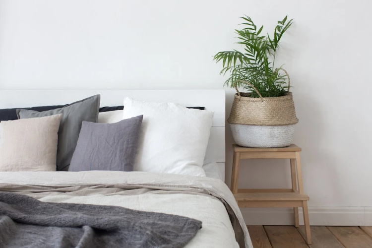 Reveli Suites