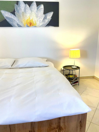 Booklovers apartment close to center