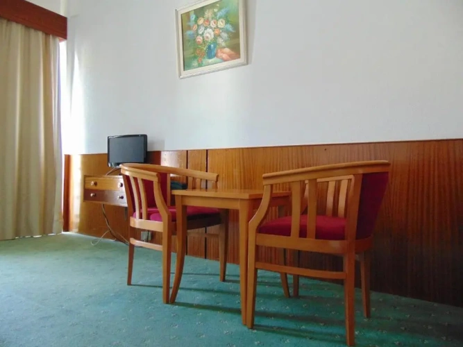 Standard Double room with balcony and with view