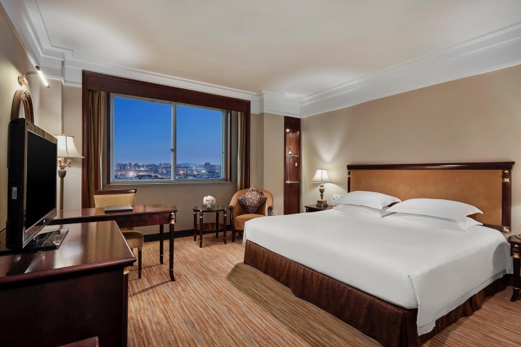 Deluxe Single room