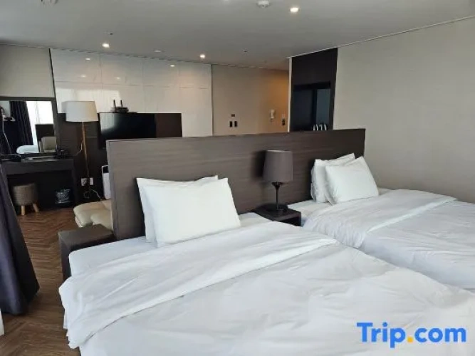 Royal Single Suite