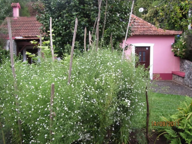 1 Bedroom Cottage