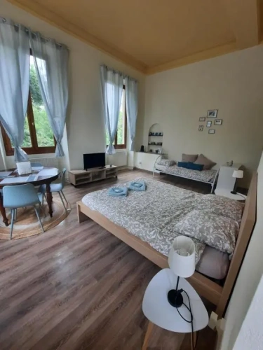 Standard Family room