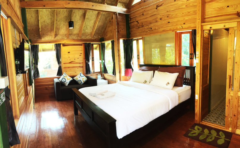 Standard Double room with park view