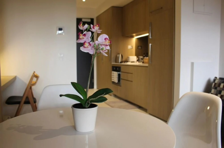 Roomerang at Fulton Lane 4
