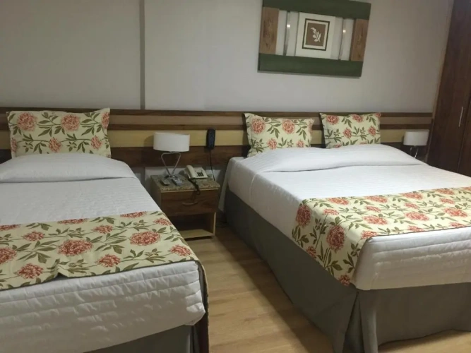 Deluxe Double room with balcony and with view